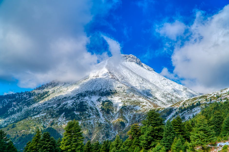 산행을 즐기는 사람과 안전한 등산 모습