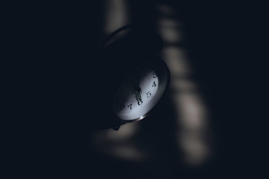 다양한 일상 활동과 생체 시계 주기를 보여주는 그래프