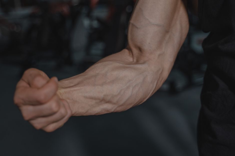 🏃‍♂️ [온종일 디지털 기기 사용 후] 목 어깨가 돌덩이 같고, 깊은 숨조차 어렵다면? 무서운 '팔뚝 회전근 경직'이 뇌와 호흡까지 망치는 1분 해방 습관!