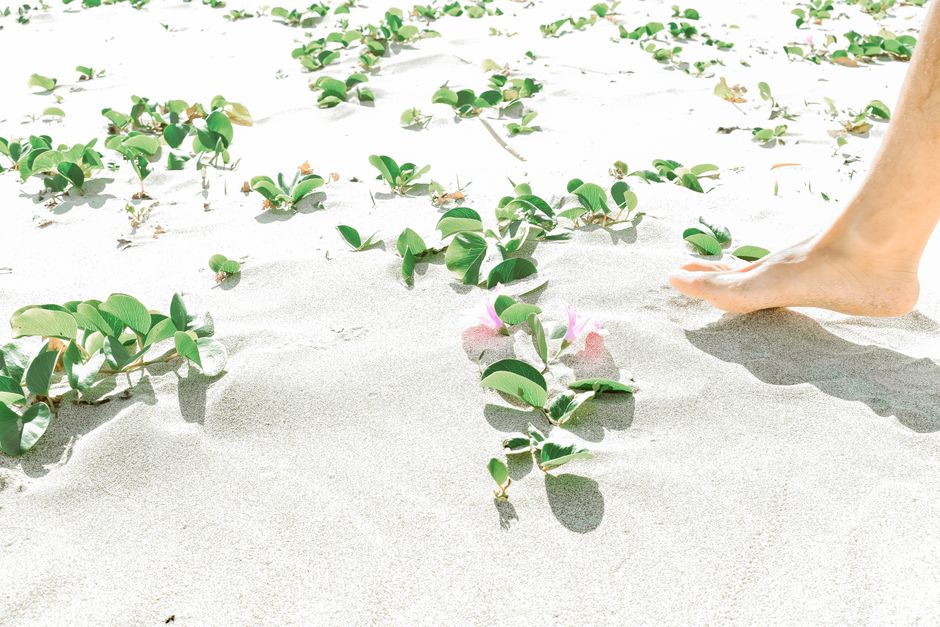 맨발로 걷는 발바닥의 모습